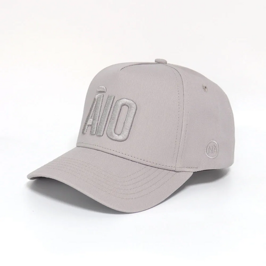 Āio Toddler Grey on Grey Baseball Cap